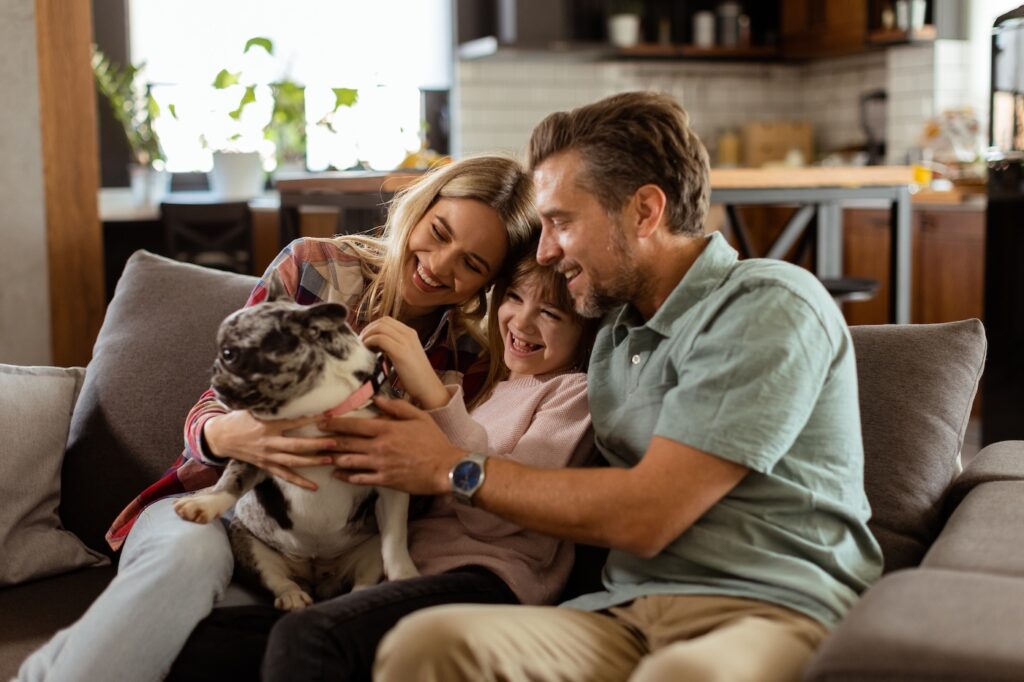 Joyful parents watch their daughter play with a happy french bulldog at home
